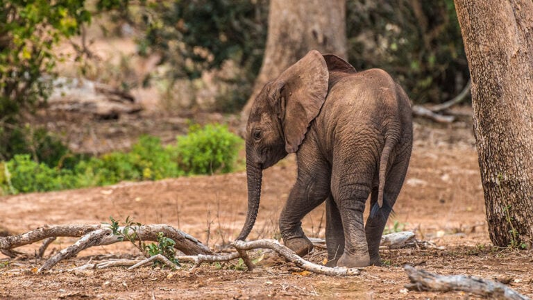 Family on a game drive at Kwantu